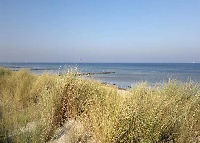 Gutshaus In Mit Teich Dom wakacyjny *